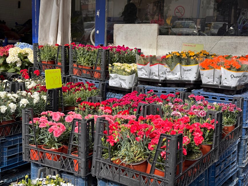 A variety of potted flowers, predominantly pink, red, white, yellow, and orange, arranged in black plastic crates outside a flower shop. The flowers include carnations and chrysanthemums, with petals 
