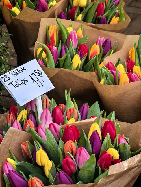 Multiple bouquets of fresh tulips with vibrant pink, yellow, orange, and purple petals, wrapped in brown craft paper and arranged in a display. The tulips have lush green leaves and sturdy stems, indi