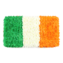 IRISH FLAG TRIBUTE